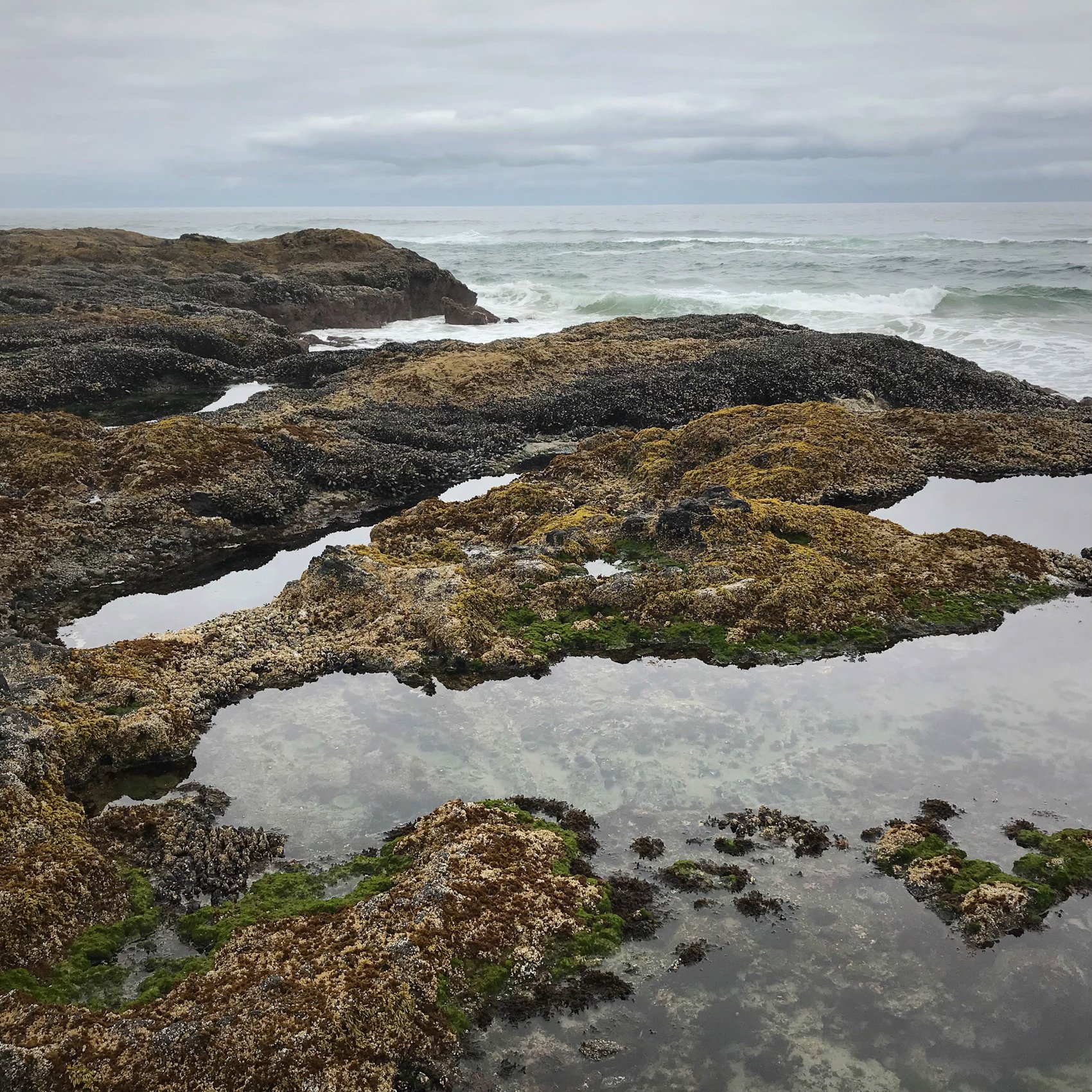  Cape Perpetua, Oregon 