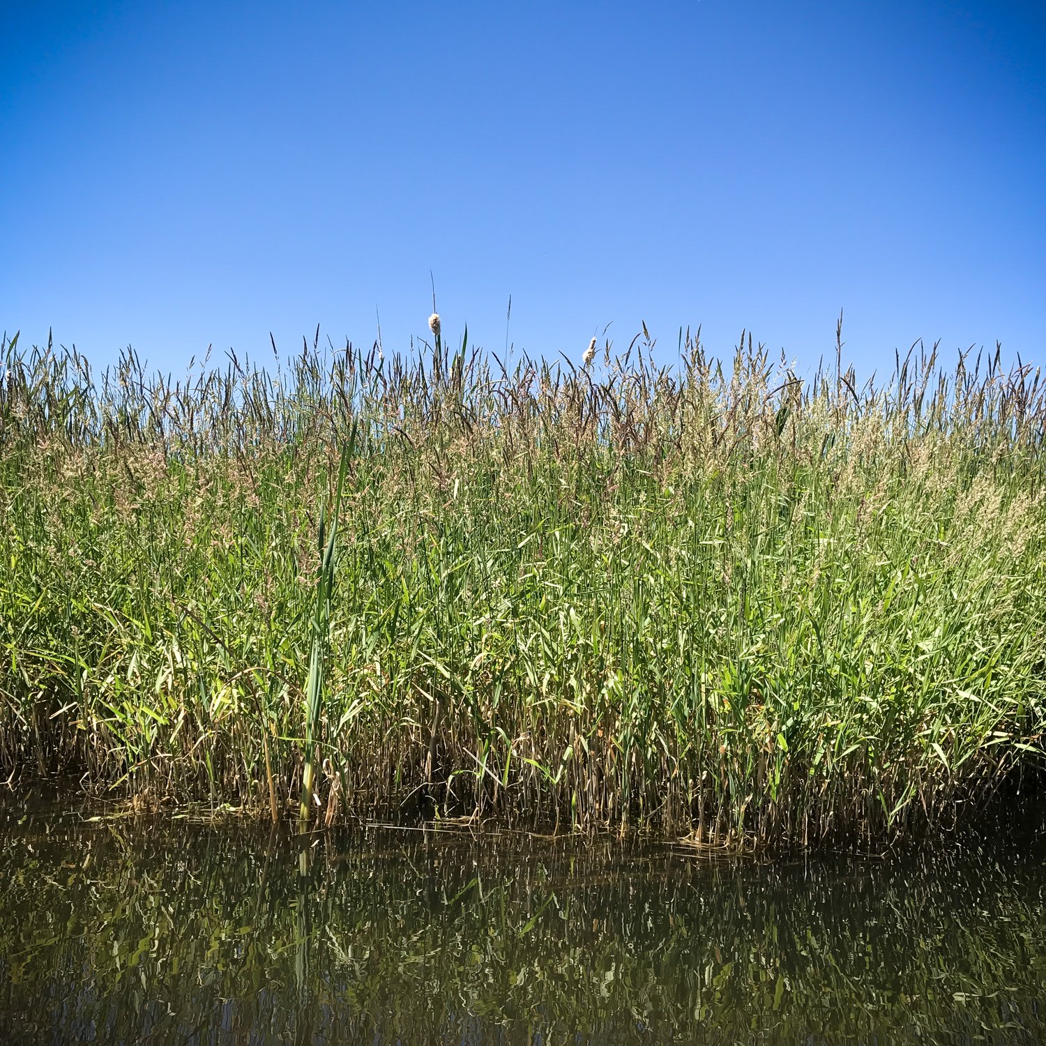  Upper Klamath National Wildlife Refuge, Oregon 