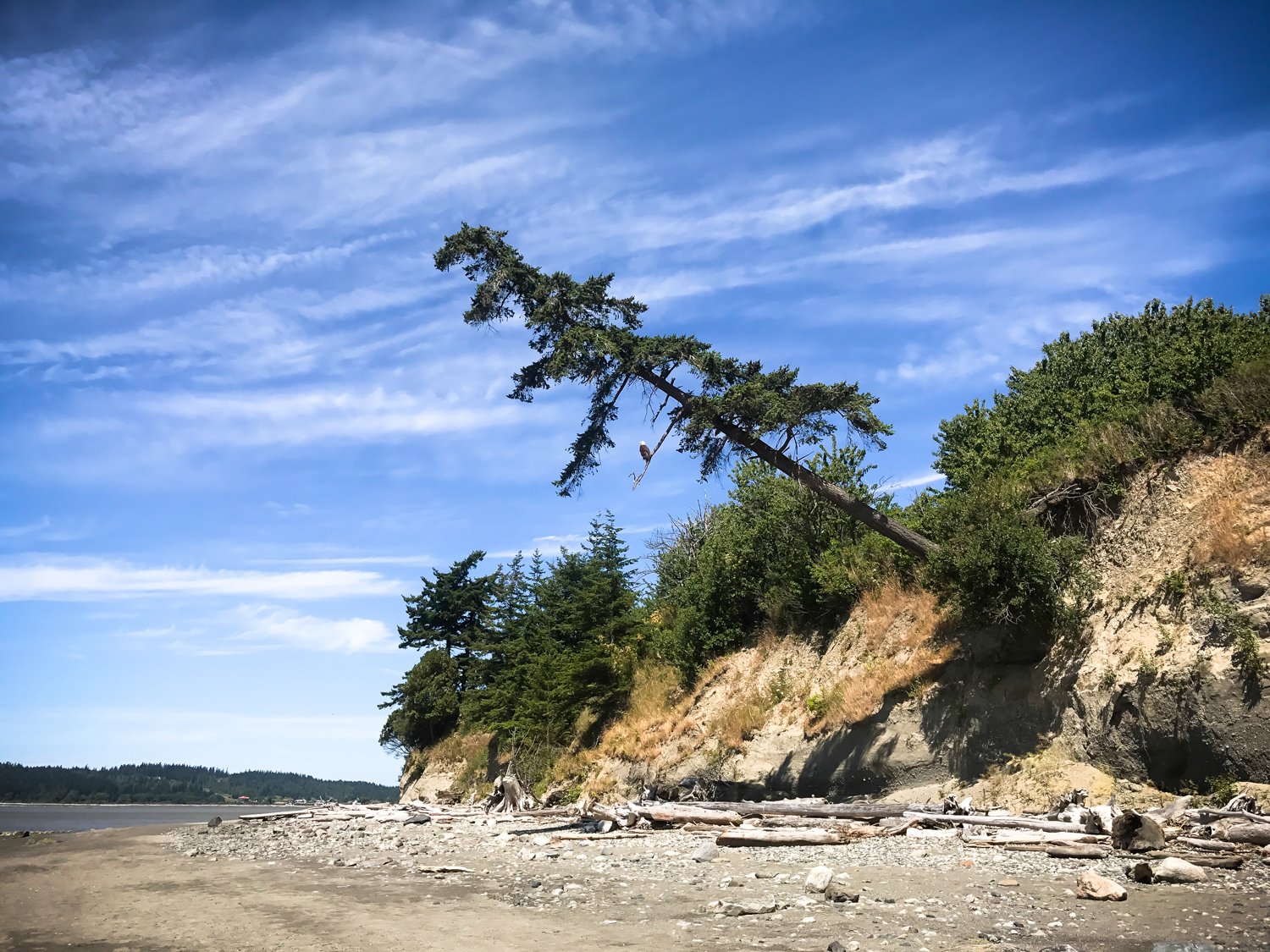  Camano Island, Washington 