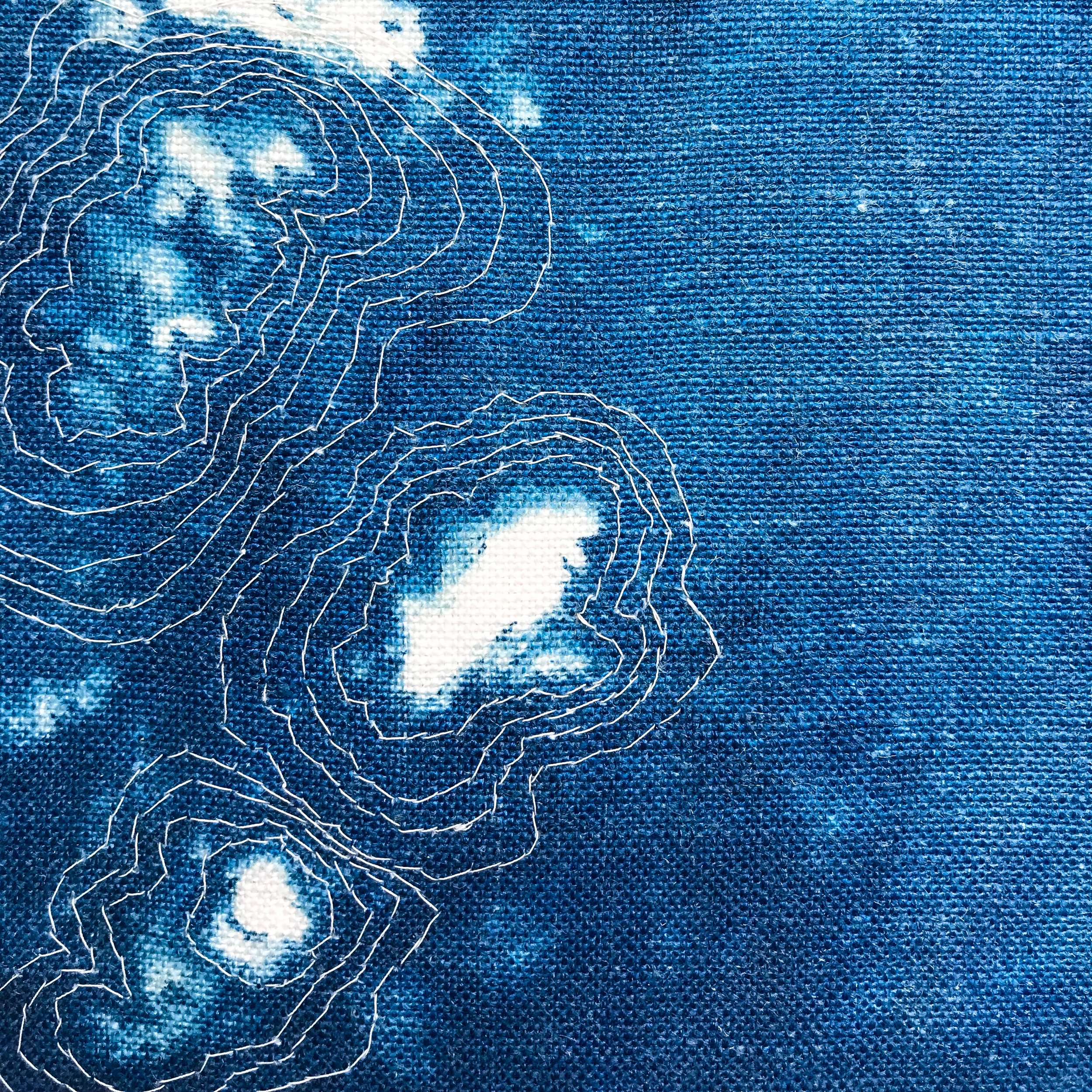 Cyanotypes-7.jpg