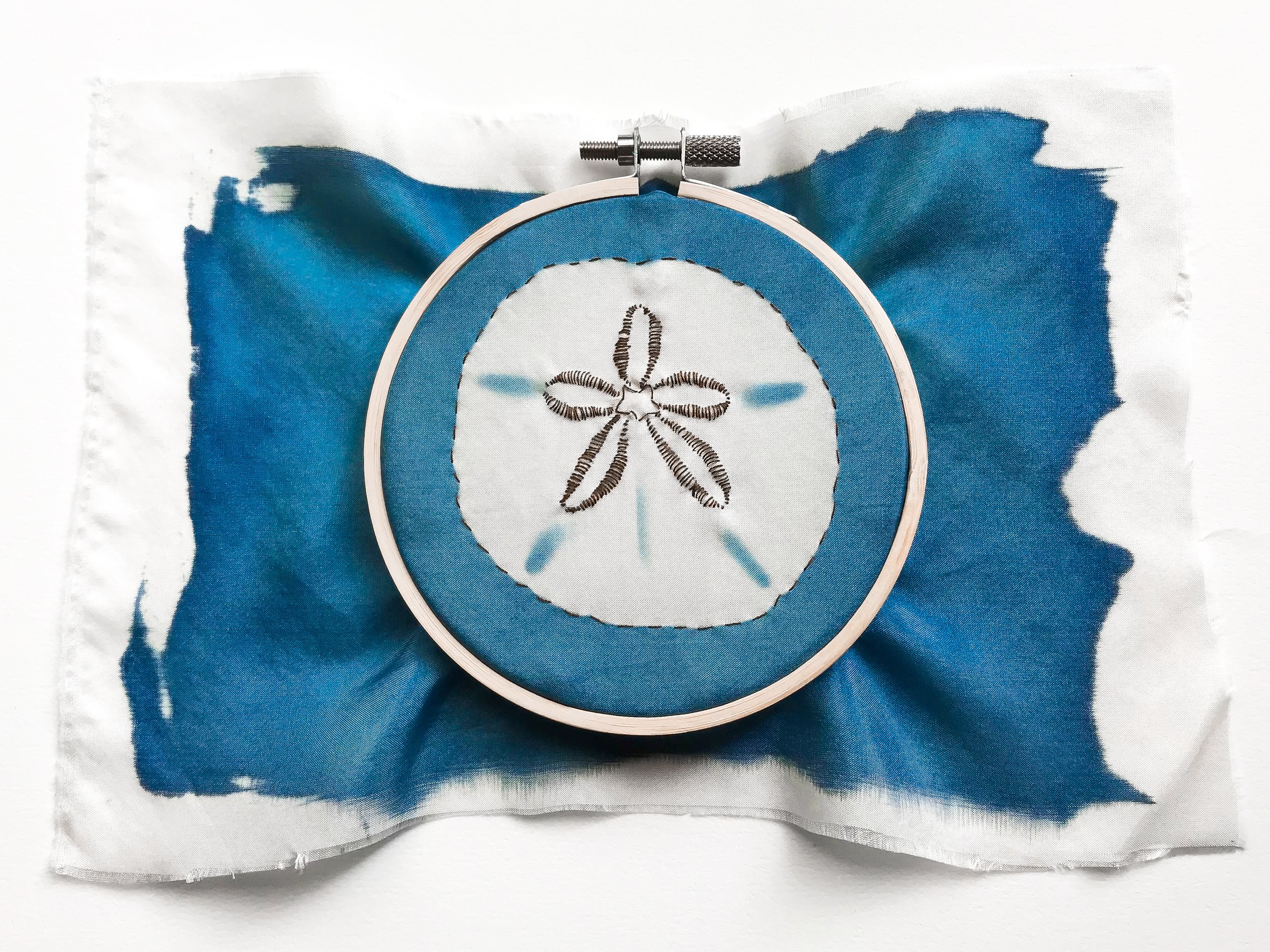  Cyanotype of sand dollar on silk stitched with cotton thread. 