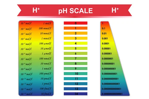 article-107-acid-alkaline.jpg