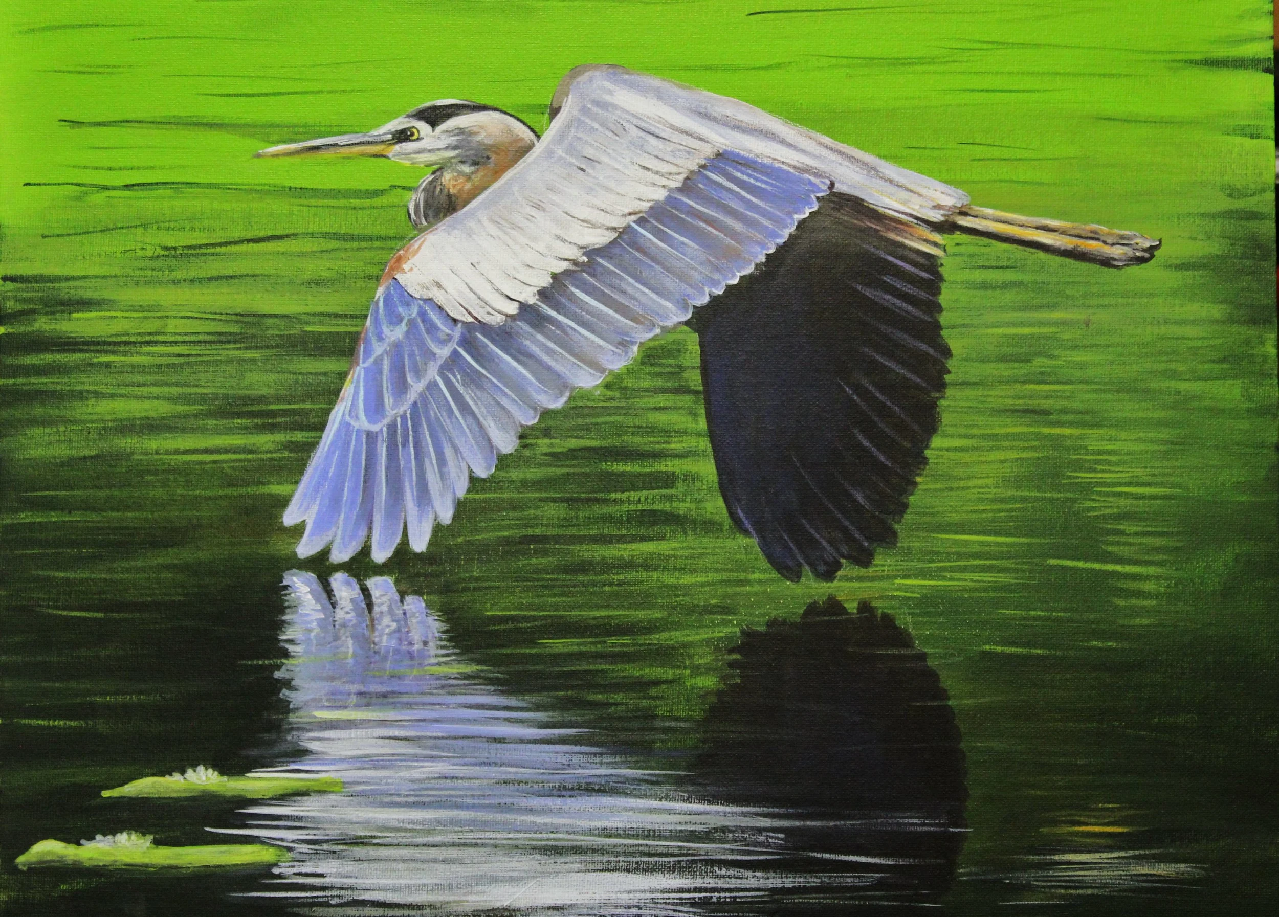 Great Blue Heron