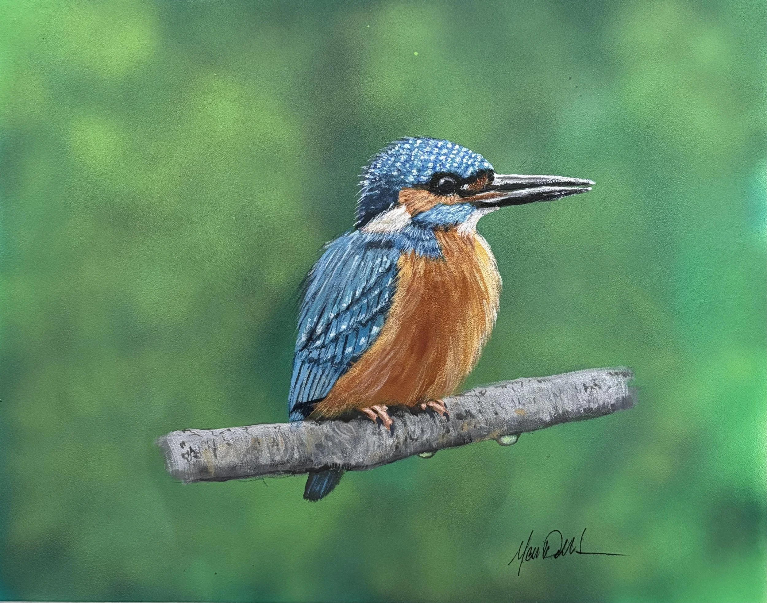 Kingfisher , Reference photo by Liz Woodbridge