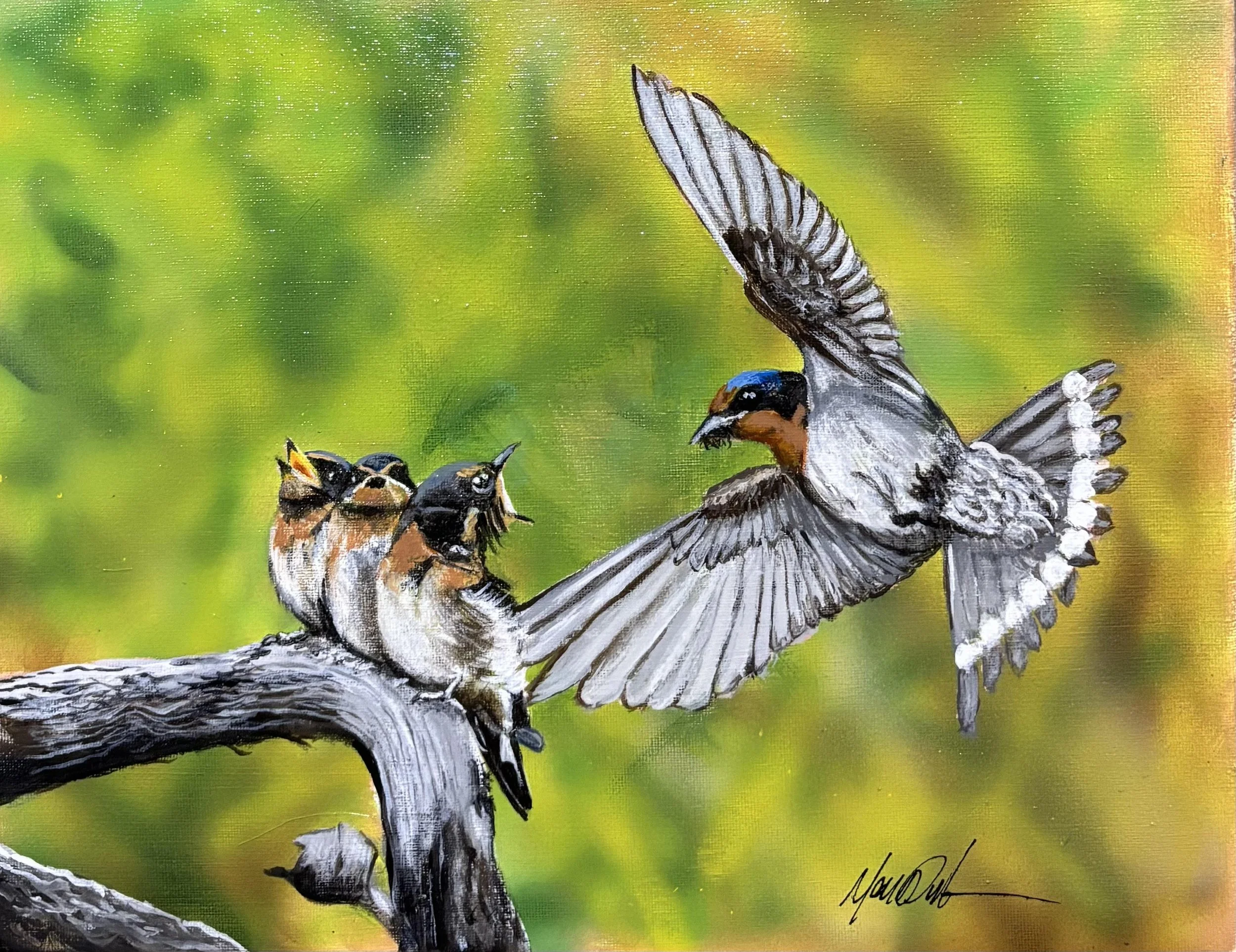 Swallow family