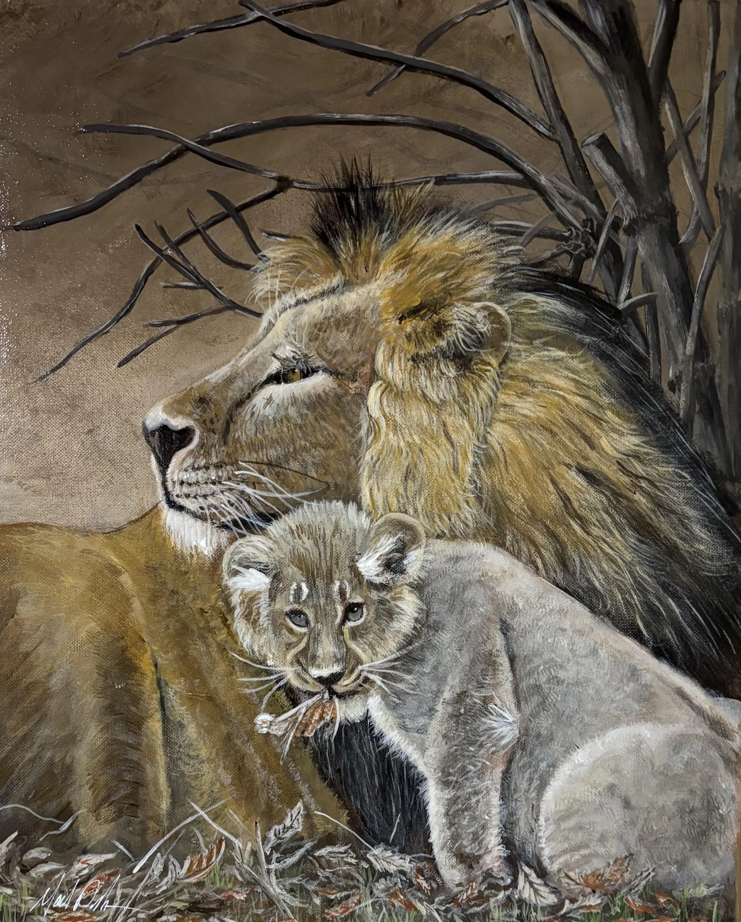 Male Lion and Cub