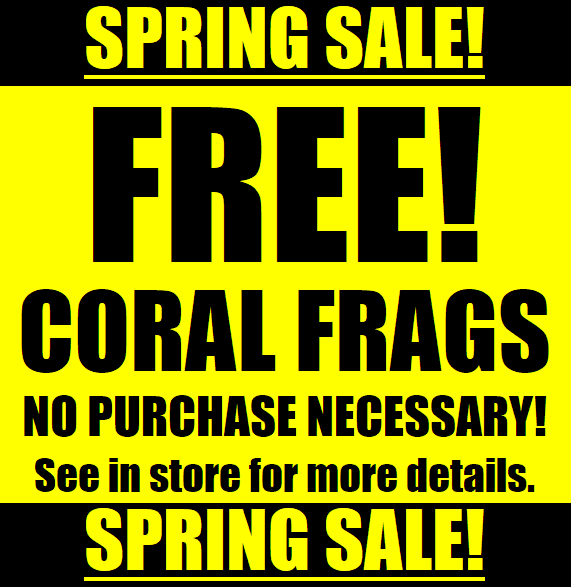 Free Coral Frags Salty Revolution
