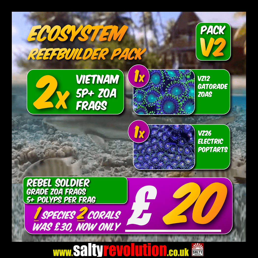 V2 Reefbuilder pack V2 2x Vietnam Zoas 1050px x 1050px png comp.png