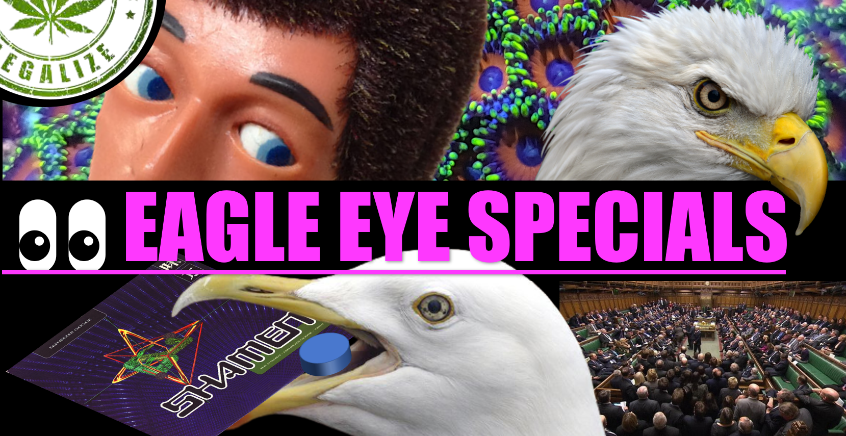 Eagle eyes.png