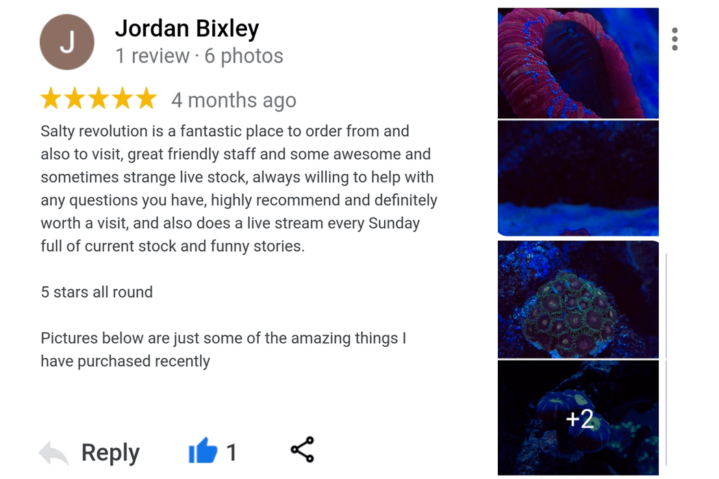 Jordan Bixley page 1.png