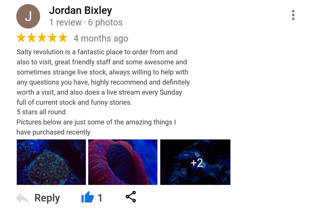 Jordan Bixley page 2.png