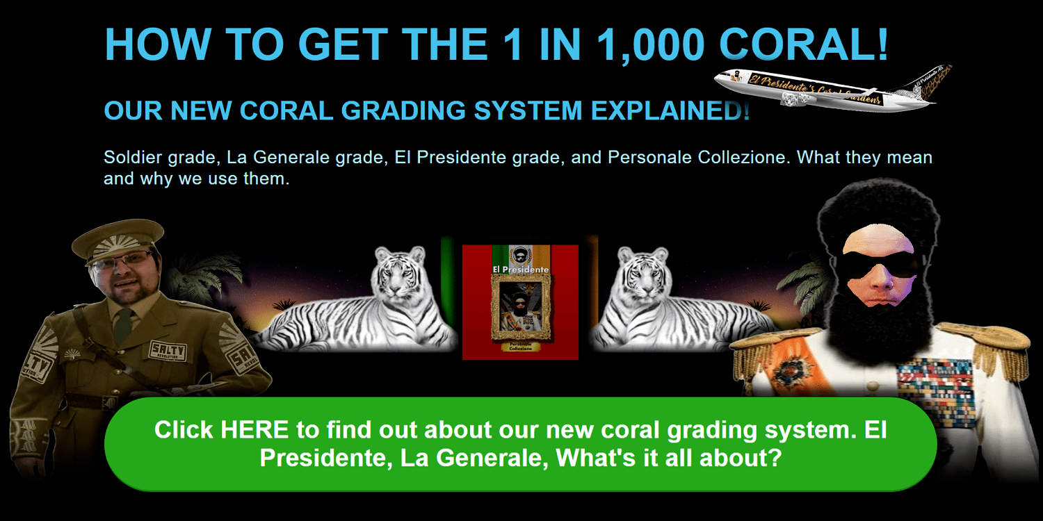 Coral grades explained 02.png