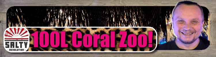 Button 100L Coral Zoo 750px x 200px png comp.png