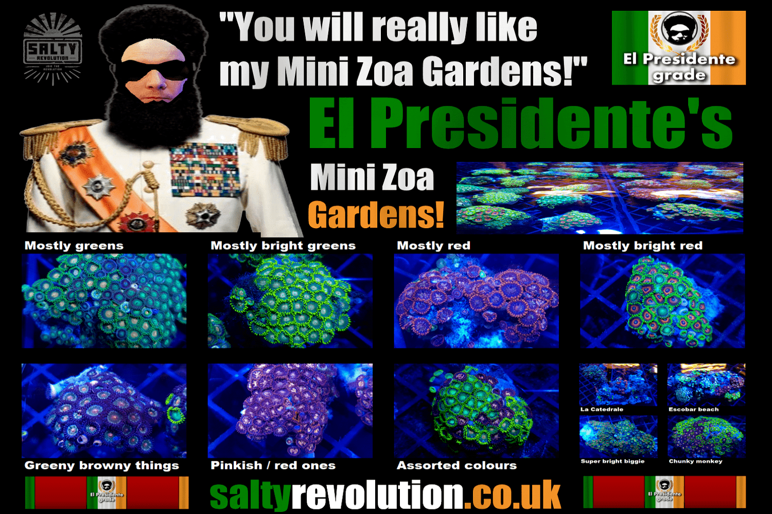 El presidente mini Zoa Gardens 1500px x 1000px png comp.png