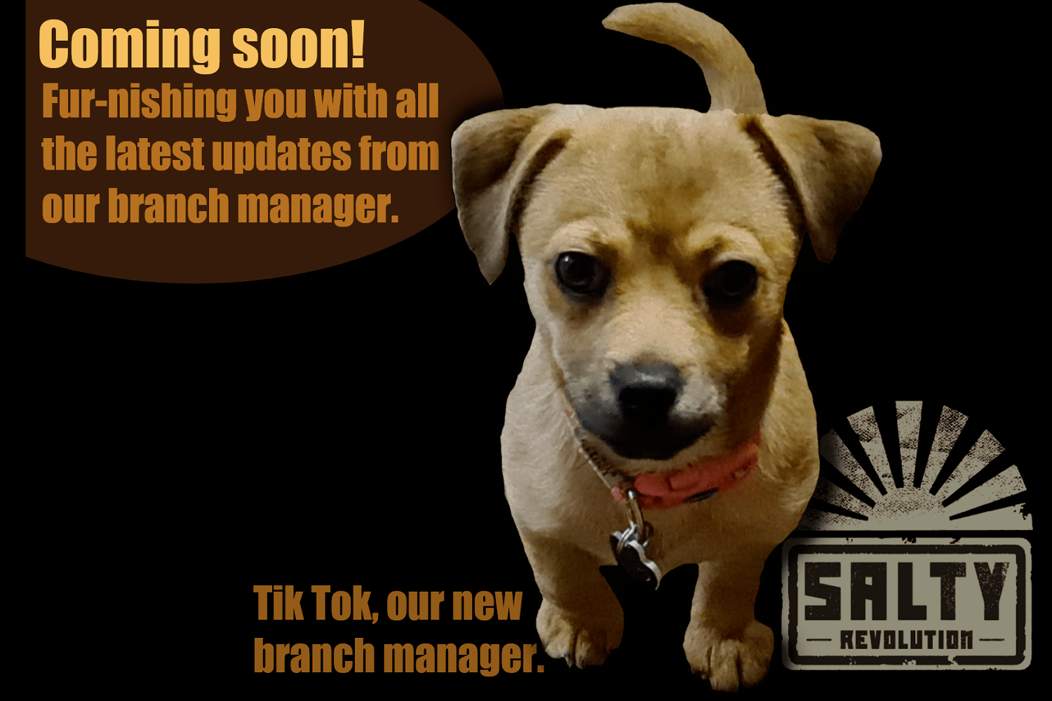 Our new branch manager Tik Tok 1500px x 1000px png comp.png