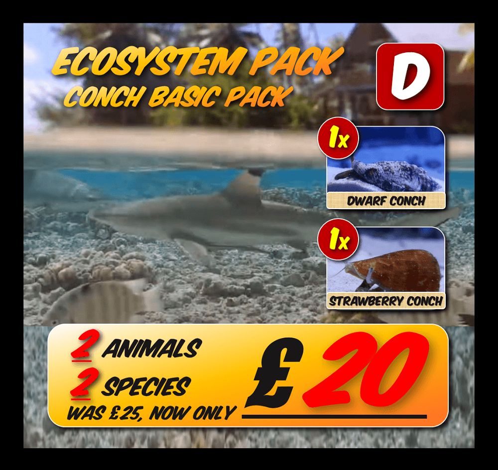 Ecosystem pack D.png