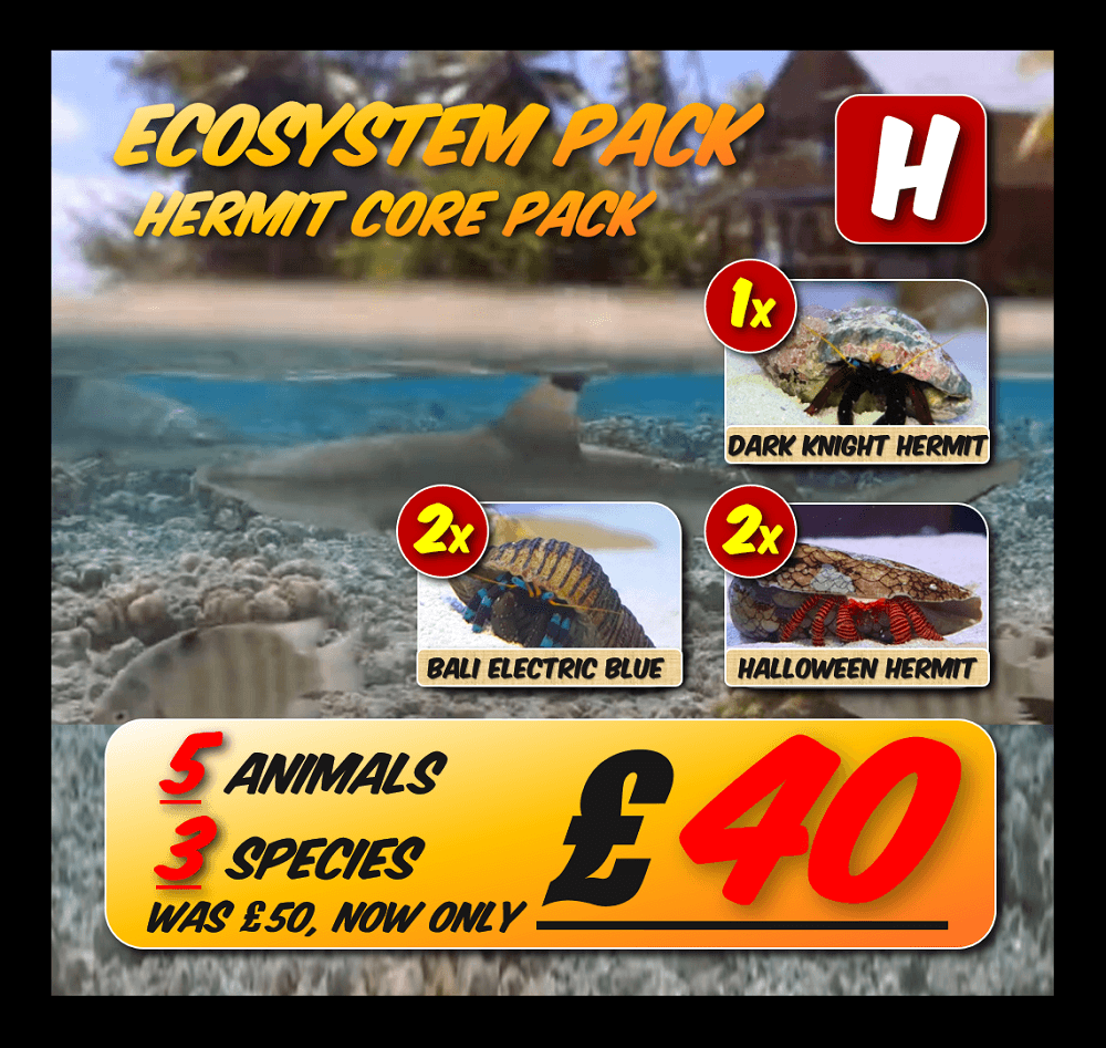 Ecosystem pack H.png