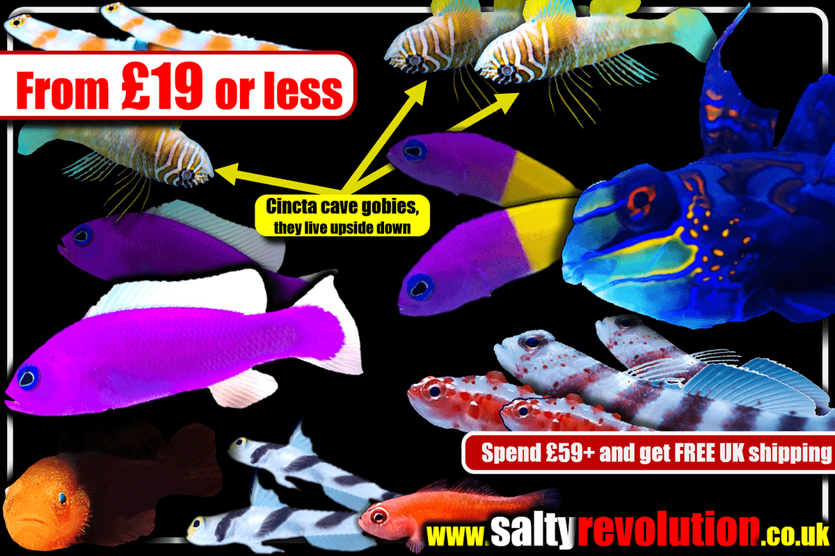 # GRAPHIC From £19 or less 1200px x 800px png comp.png