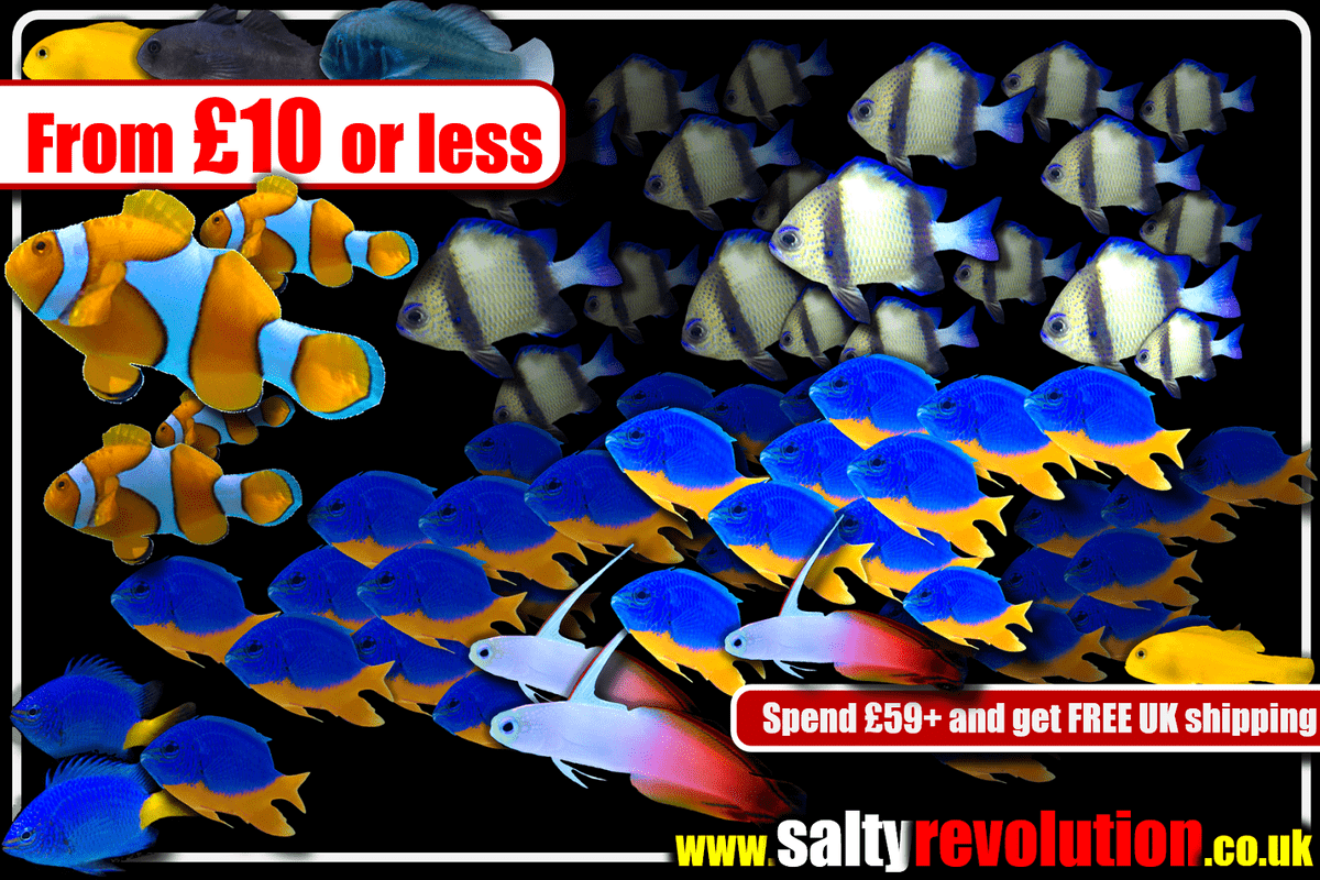 # GRAPHIC From £10 or less 1200px x 800px png comp.png