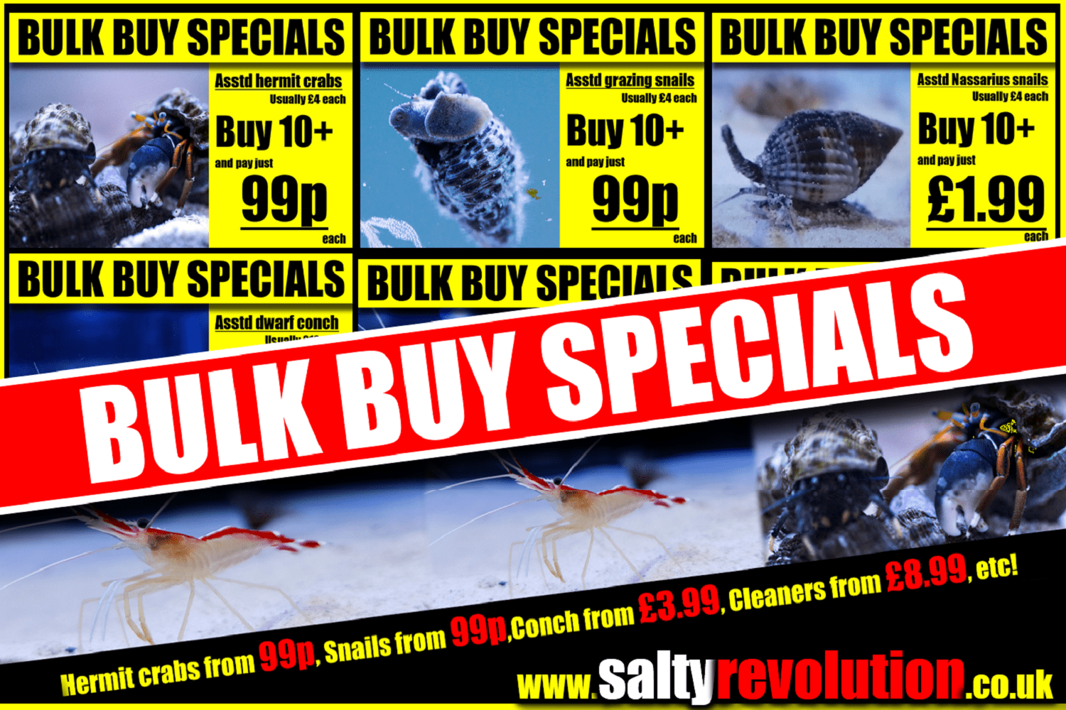 # AD BULK BUY SPECIALS 1500px x 1000px png comp.png