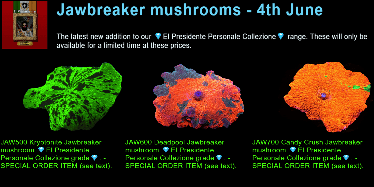#+GRAPHIC+Jawbreaker+mushrooms+1500px+x+750px+png+comp.png