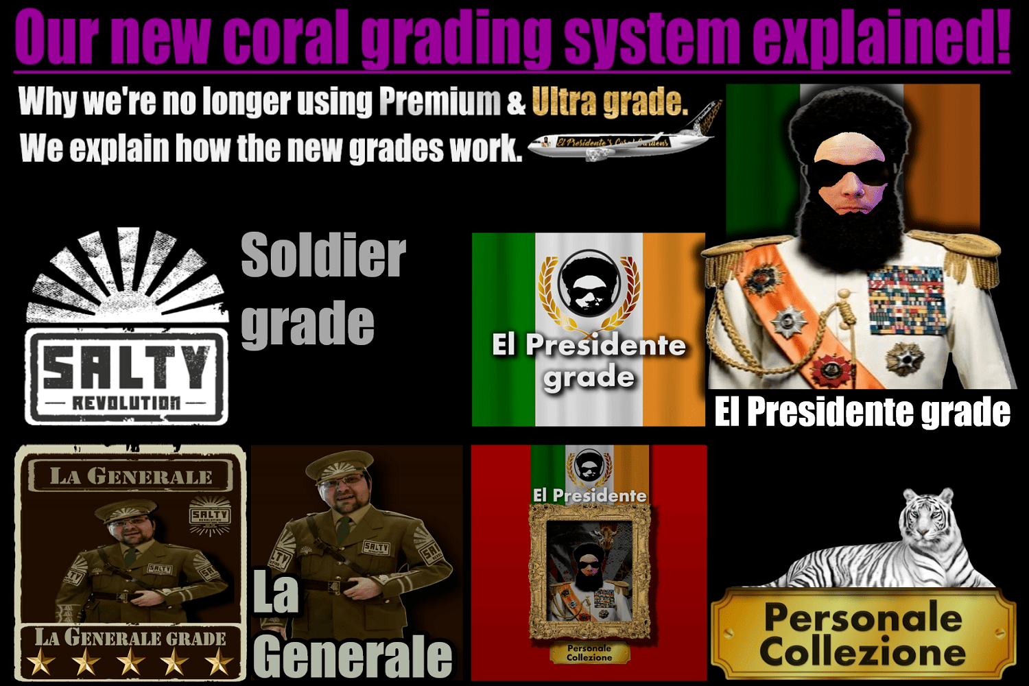 # GRAPHICS Coral grades explained 03 1500px x 1000px png comp.png