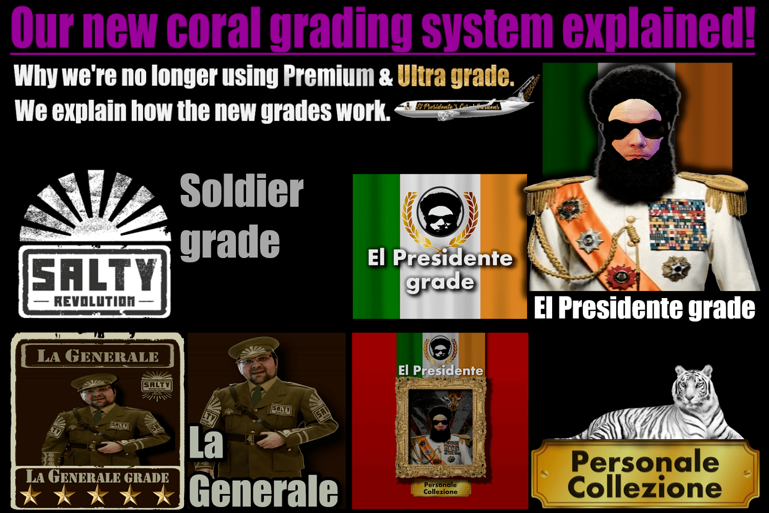 #+GRAPHICS+Coral+grades+explained+03+1500px+x+1000px+png+comp.png