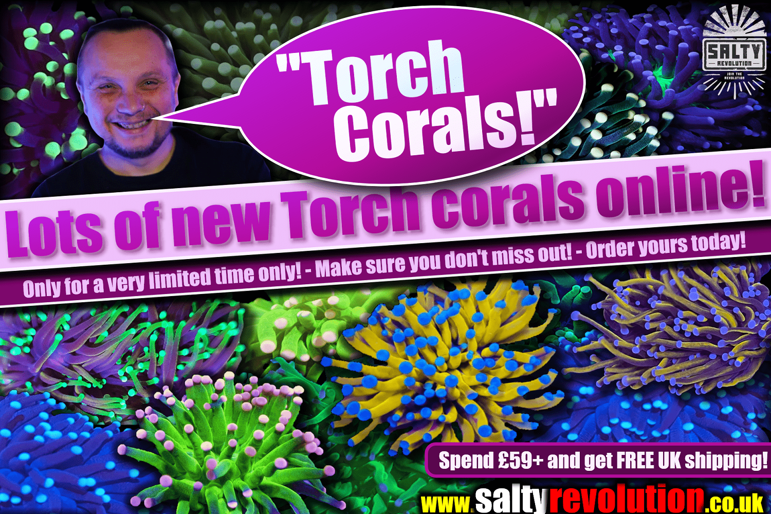# BLOG 2023 06 18 Torch corals 1500px x 1000px png comp.png