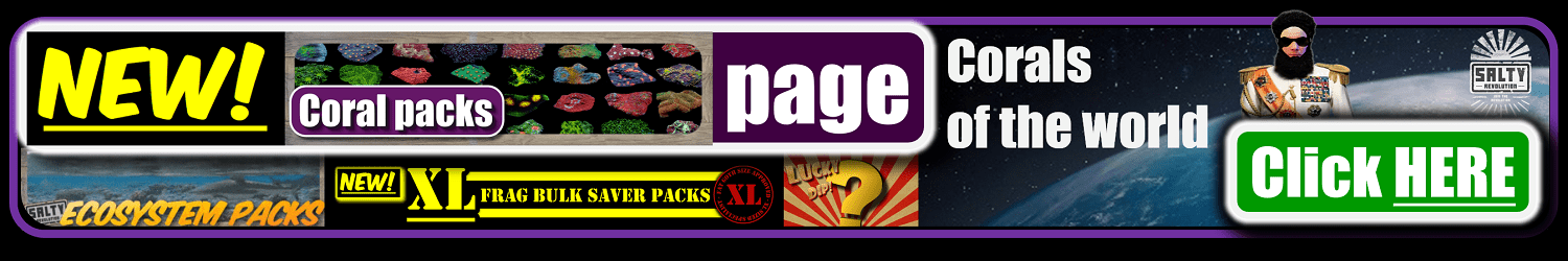# BANNER This weekend 06 1500px x 250px png comp.png