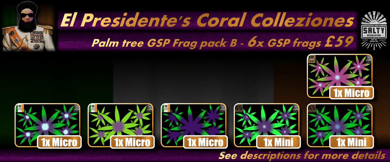 = PRODUCT El Presidentes Coral Collezione - Palm tree Star polyps B 1500px x 625px png comp.png