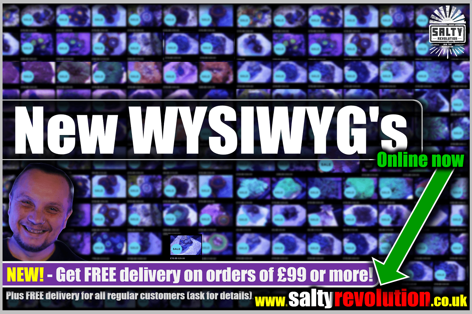 = GRAPHIC New WYSIWYGs online now 1500px x 1000px png comp.png