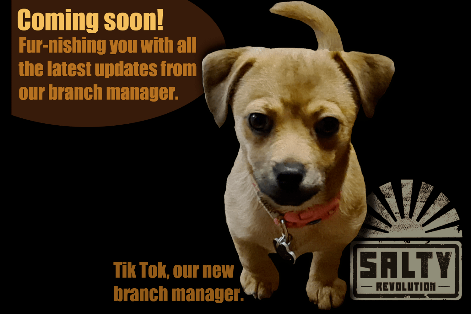 = GRAPHIC Our new branch manager Tik Tok 1500px x 1000px png comp.png