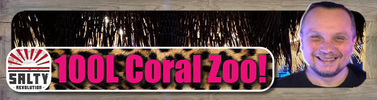 # Button 100L Coral Zoo 750px x 200px png comp.png
