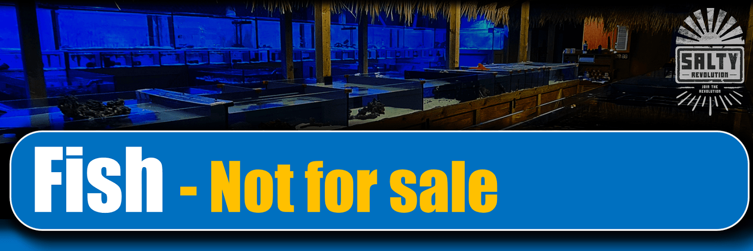 = BANNER - New shop Pluto - 001 Fish - Not for sale 1500px x 500px png comp.png