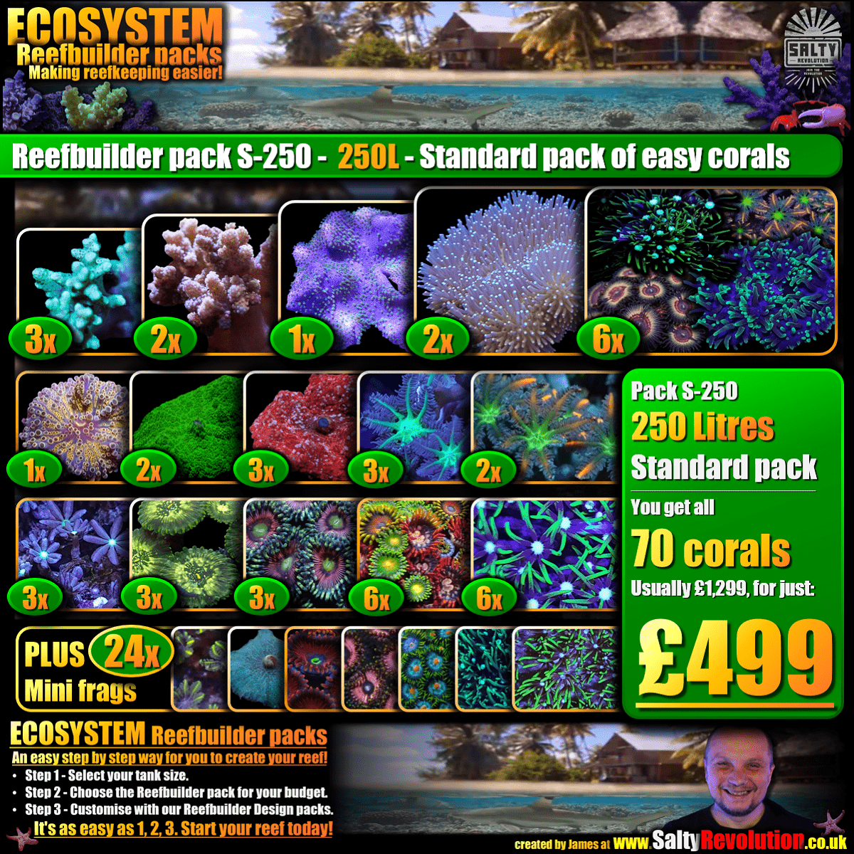 = ECOSYSTEM Reefbuilder pack - S-250 - 1200px x 1200px png comp.png