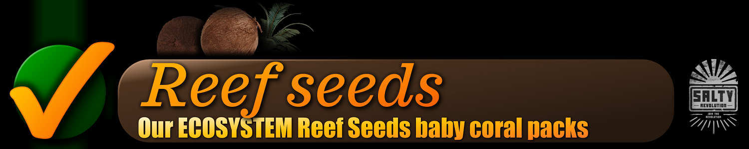 022 BUTTON - Ecosystem reef seeds 1500px x 300px png NOT COMP.png