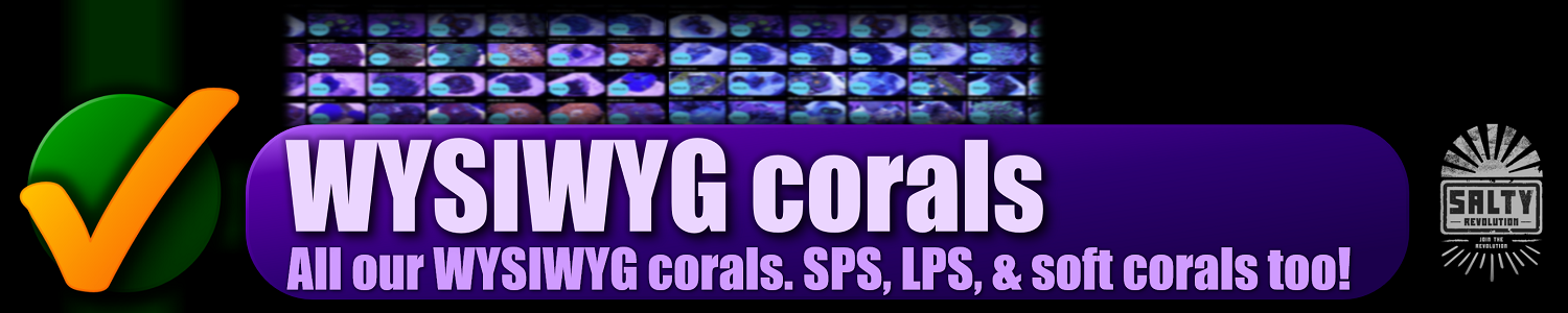 030 BUTTON - WYSIWYG corals 1500px x 300px png NOT COMP.png