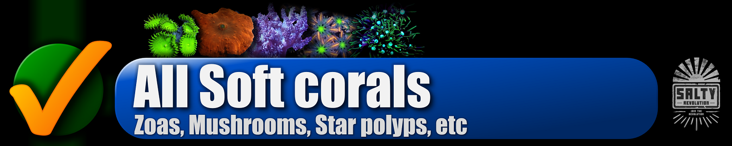 050 BUTTON - All Soft corals 1500px x 300px png NOT COMP.png
