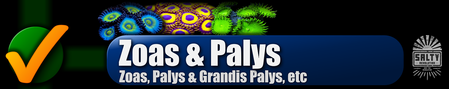 052 BUTTON - Zoas & Palys 1500px x 300px png NOT COMP.png