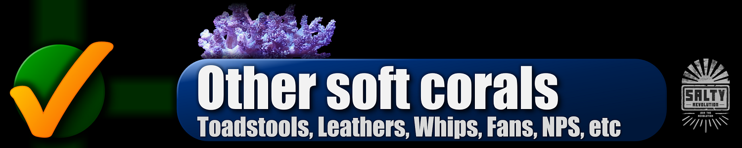 059 BUTTON - Other soft corals 1500px x 300px png NOT COMP.png