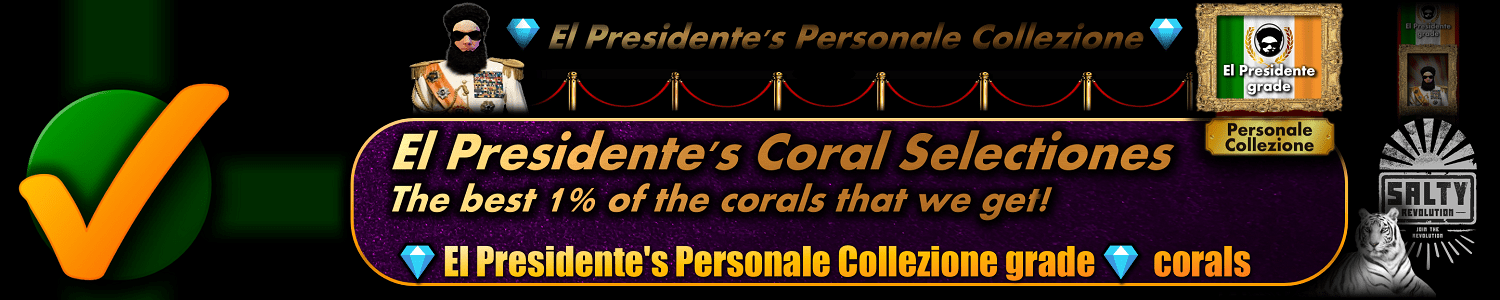 027 BUTTON - El Presidentes Coral Selectiones 1500px x 300px png comp.png