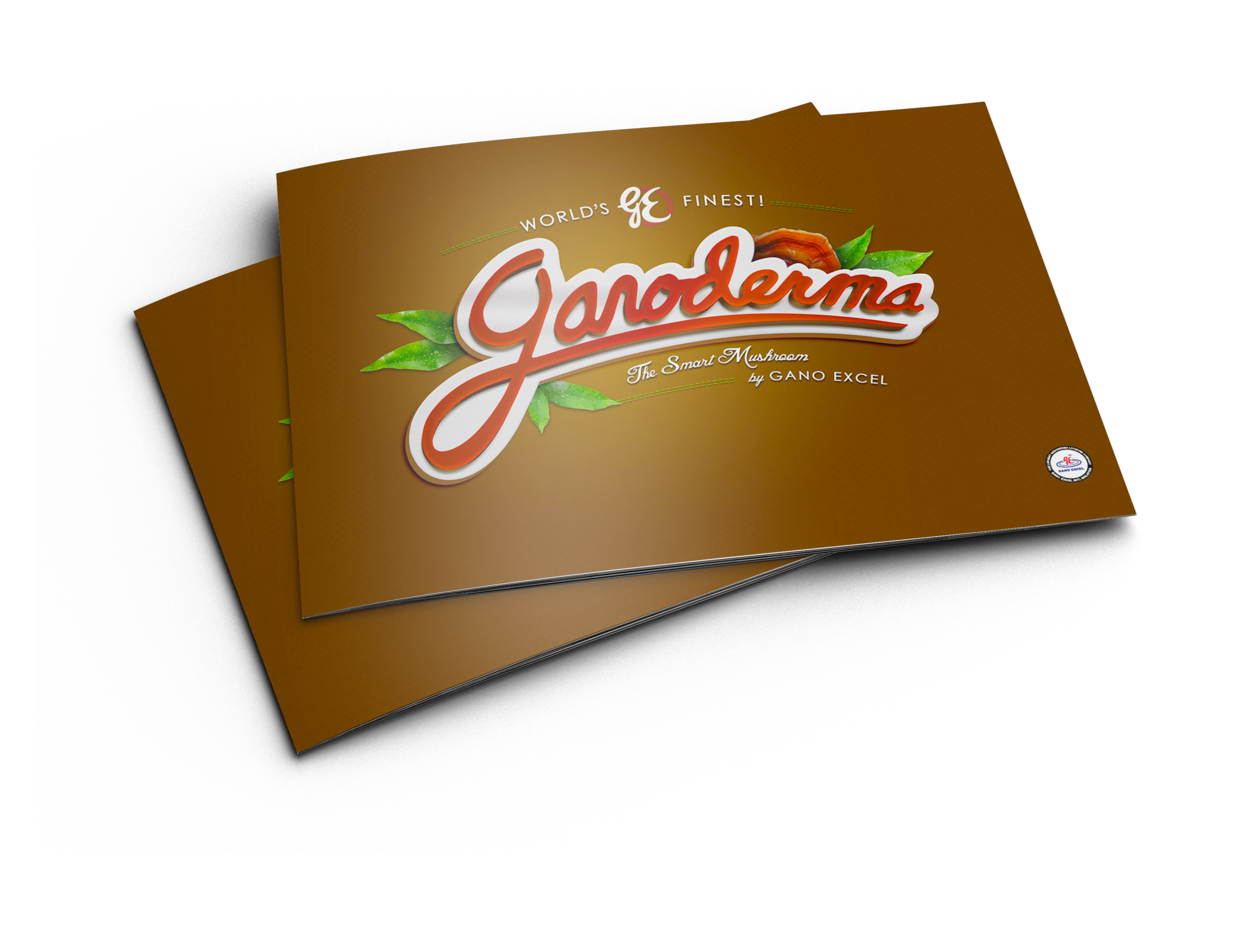 BookletMockup-2.png