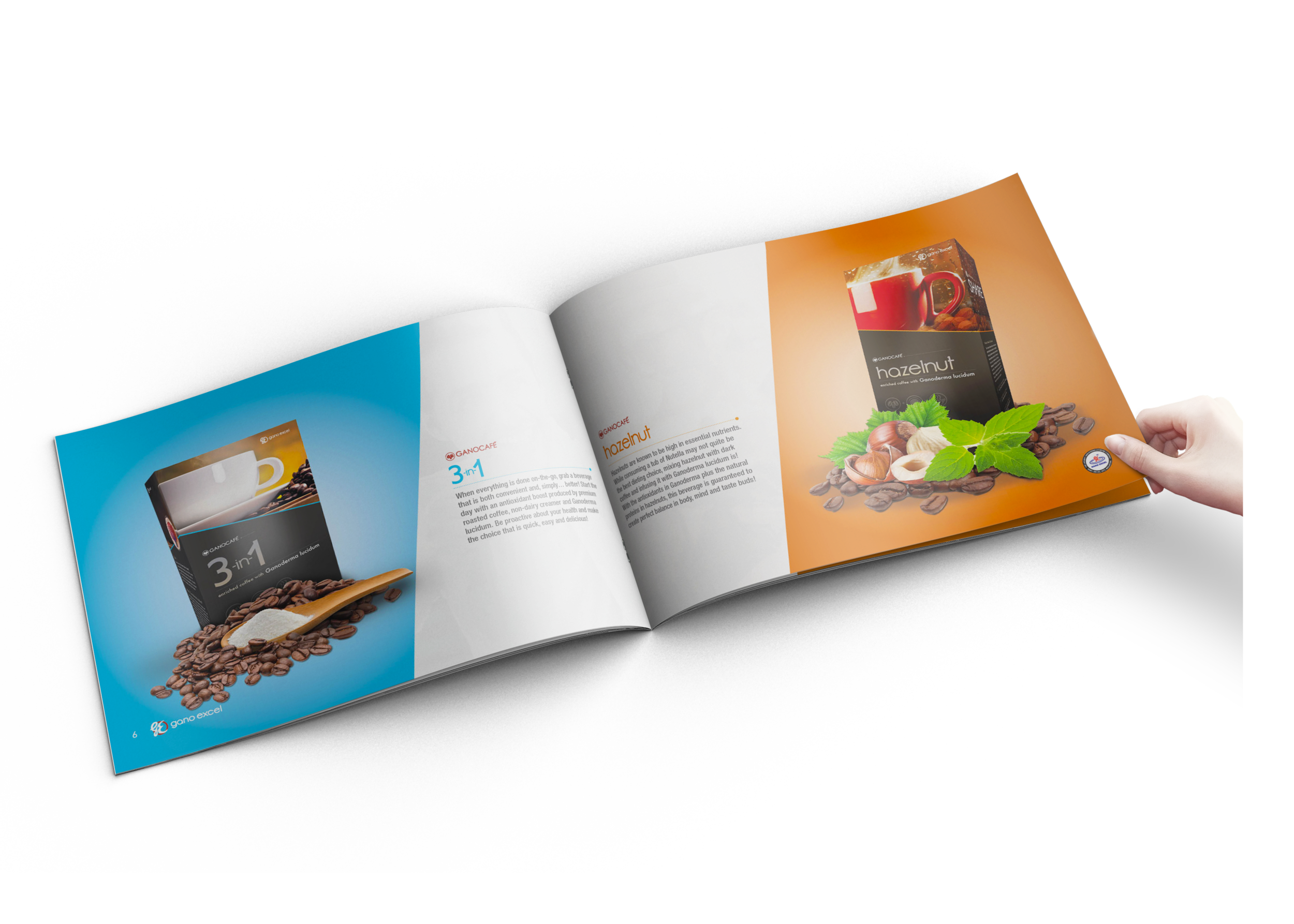 BookletMockup-1.png