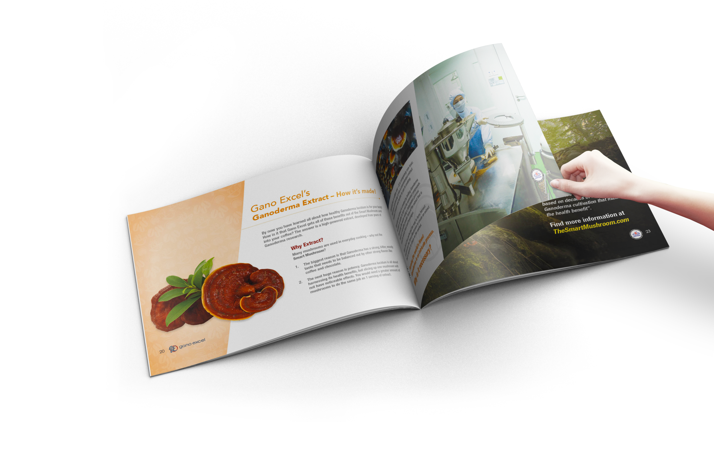 BookletMockup-4.png