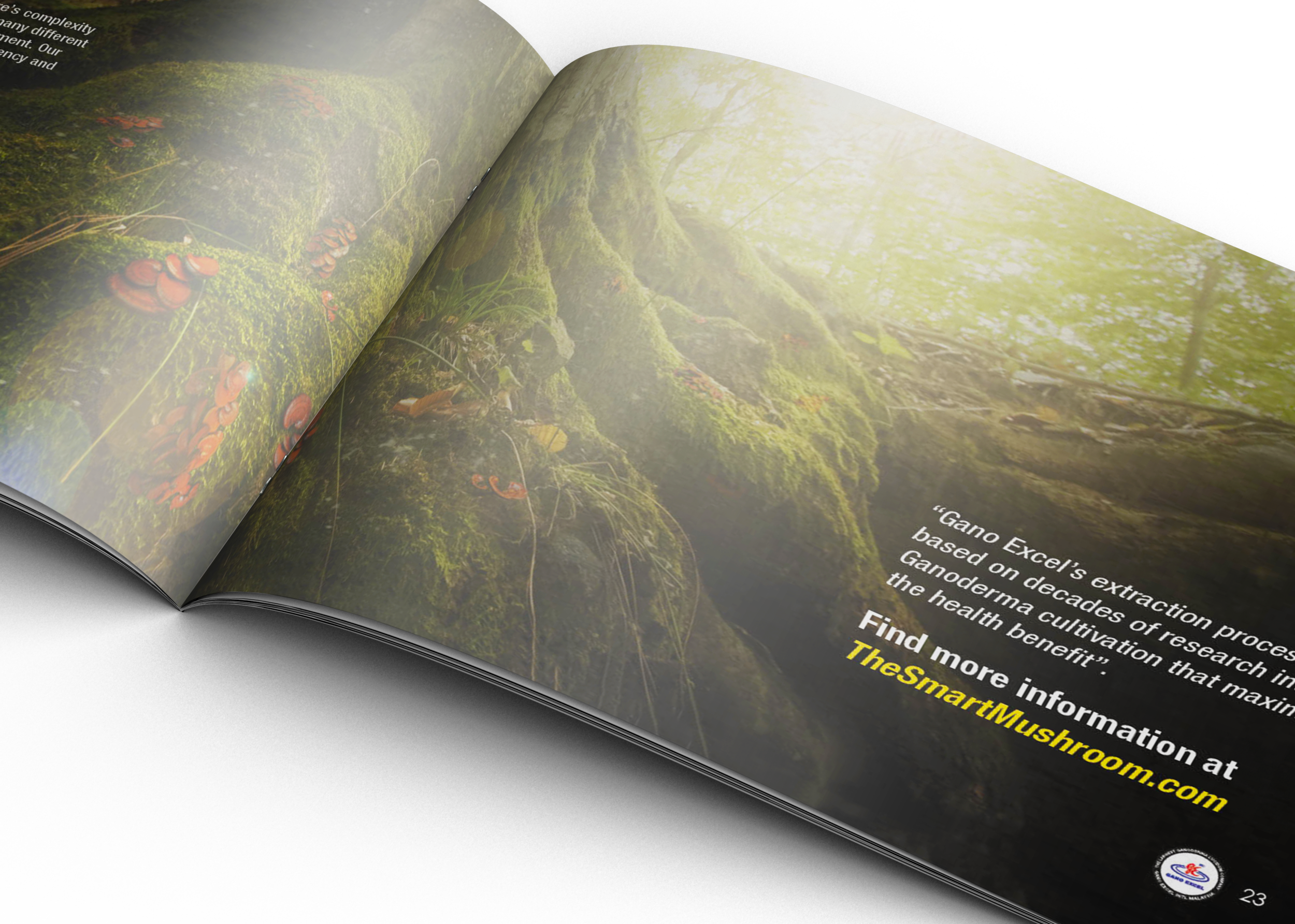 BookletMockup-3.png