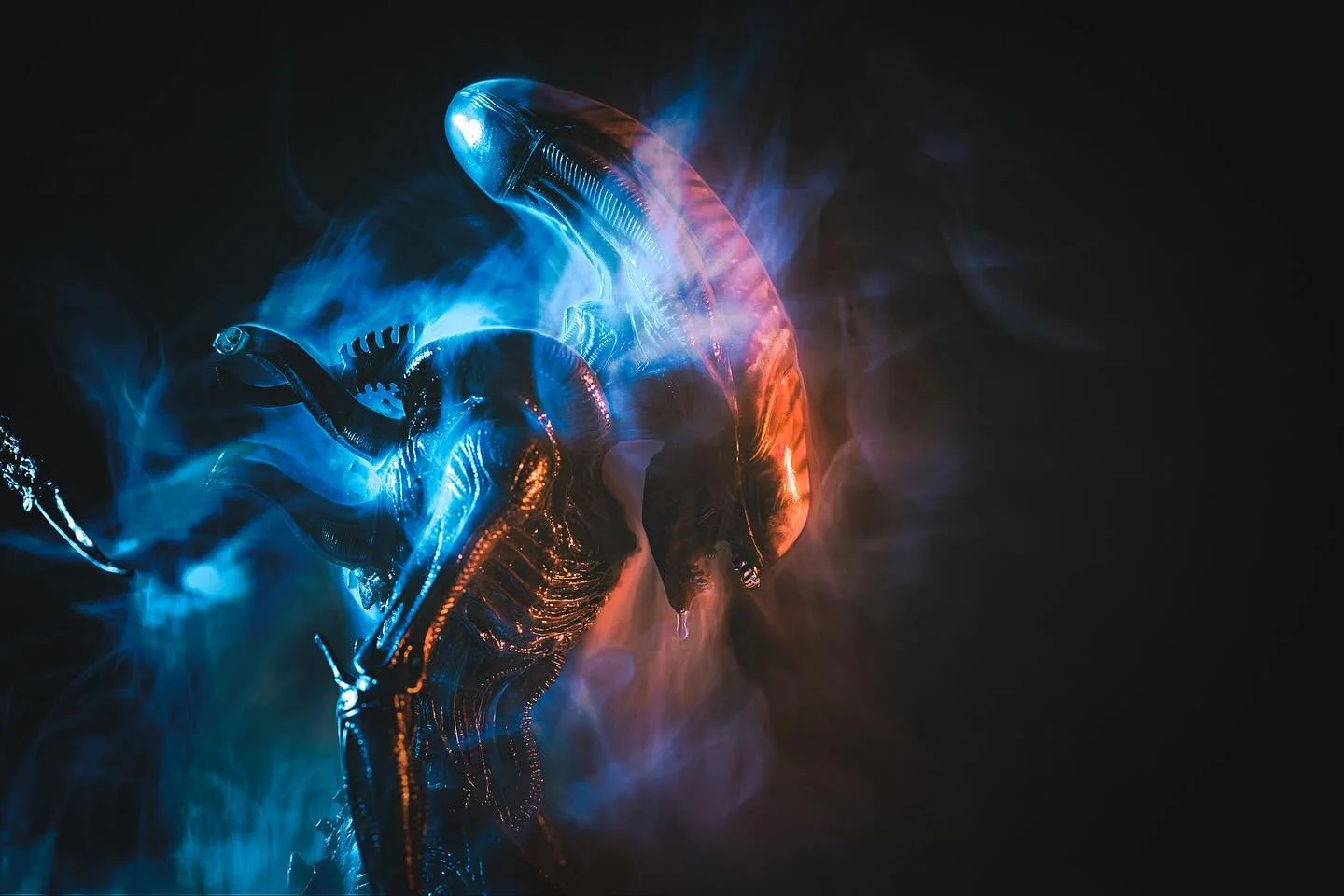 Lucky, lucky&hellip;
.
.
#alien #alienromulus #romulus #neca #necaofficial #necaaliens #toyphotography #toypics_art #canon #xenomorph