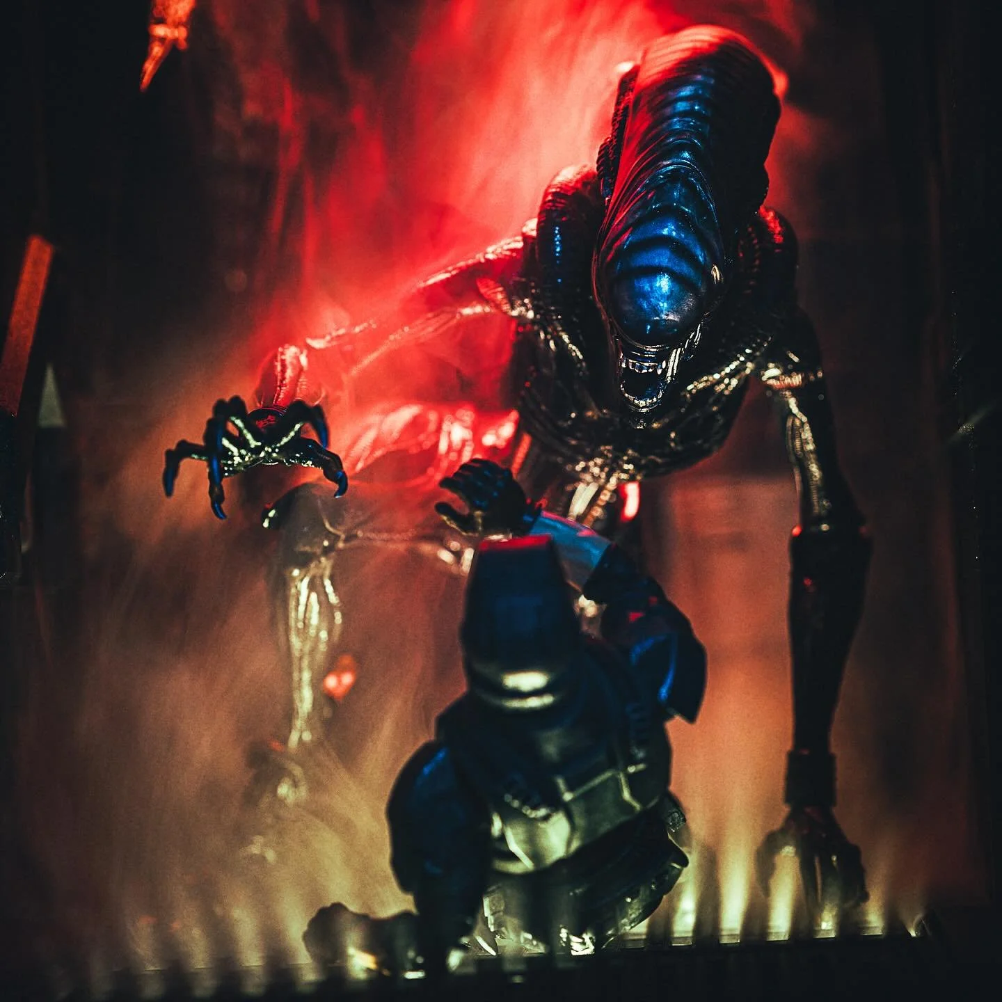 In Space&hellip;
.
.
#alien #alienromulus #romulus #alienearth #alienearthfx #neca #necaofficial #necaaliens #toyphotography #toypics_art #canon #xenomorph #toypic #toypic_community