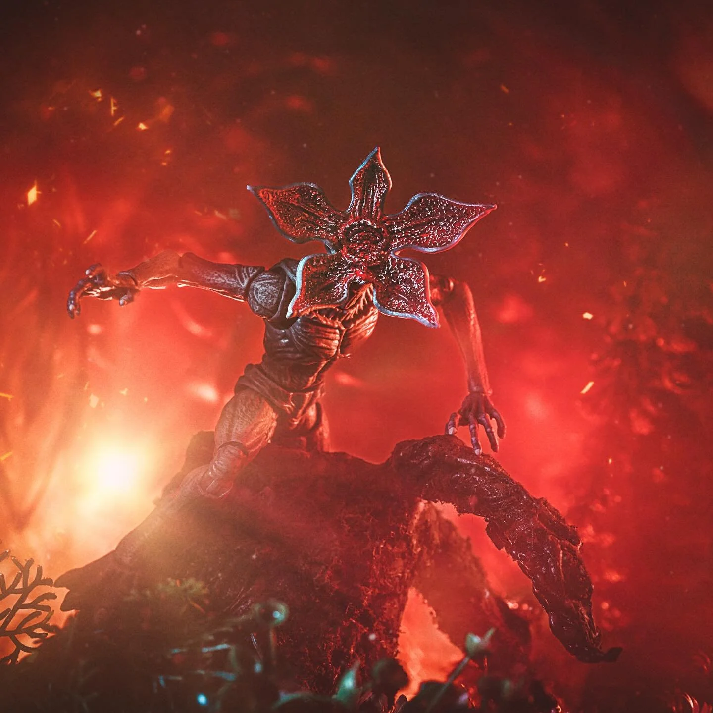 How&rsquo;s everyone liking Season 5 so far?🔥
.
.
#strangerthings #strangerthings5 #toyphotography #demogorgon #jazwares