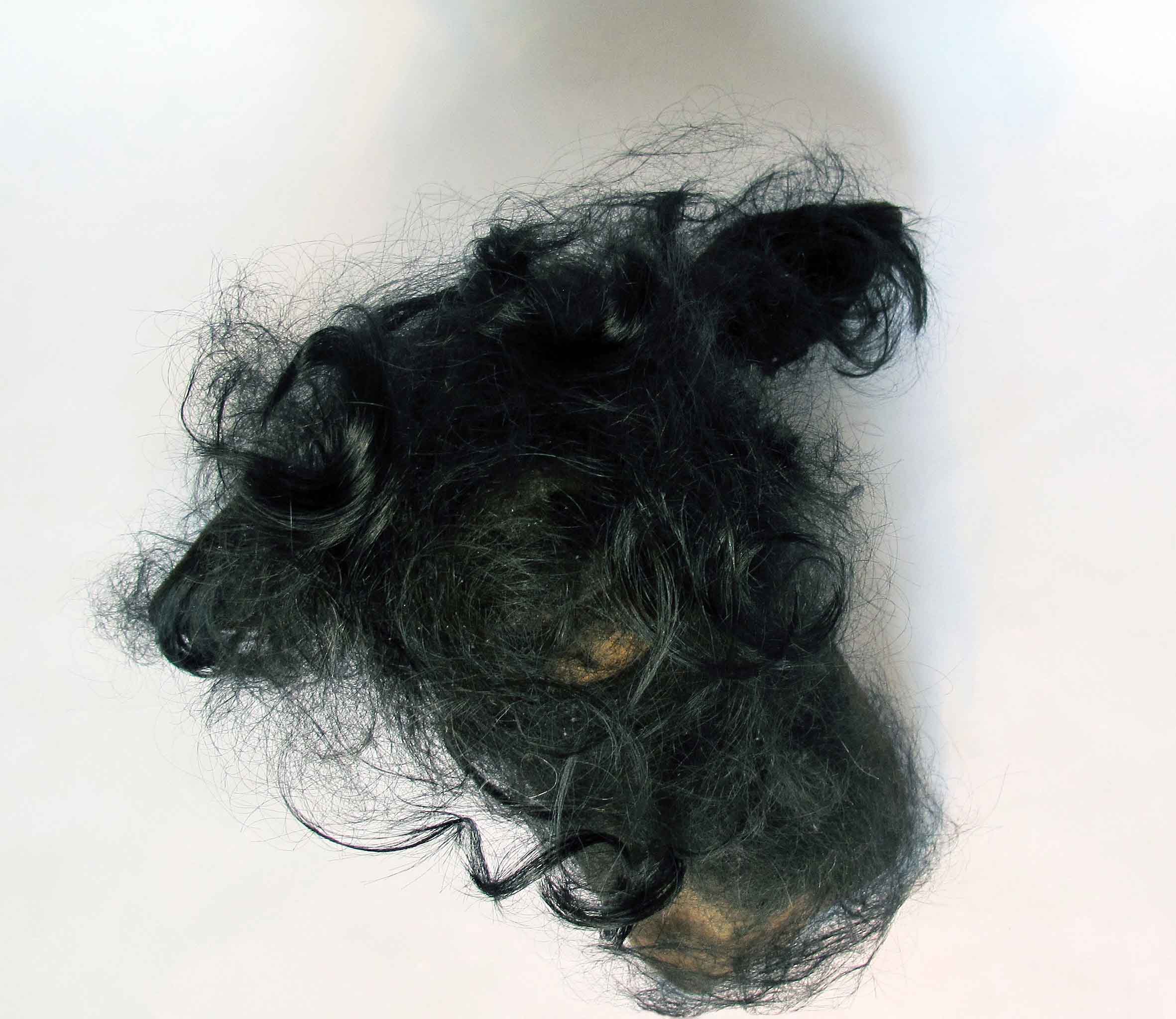  Jayne Dyer,&nbsp; Dear , 2013, resin, human hair, 40 x 30 x 28cm, presented in vitrine (20 x 24 x 34cm) on display table (24 x 28 x 83cm) 