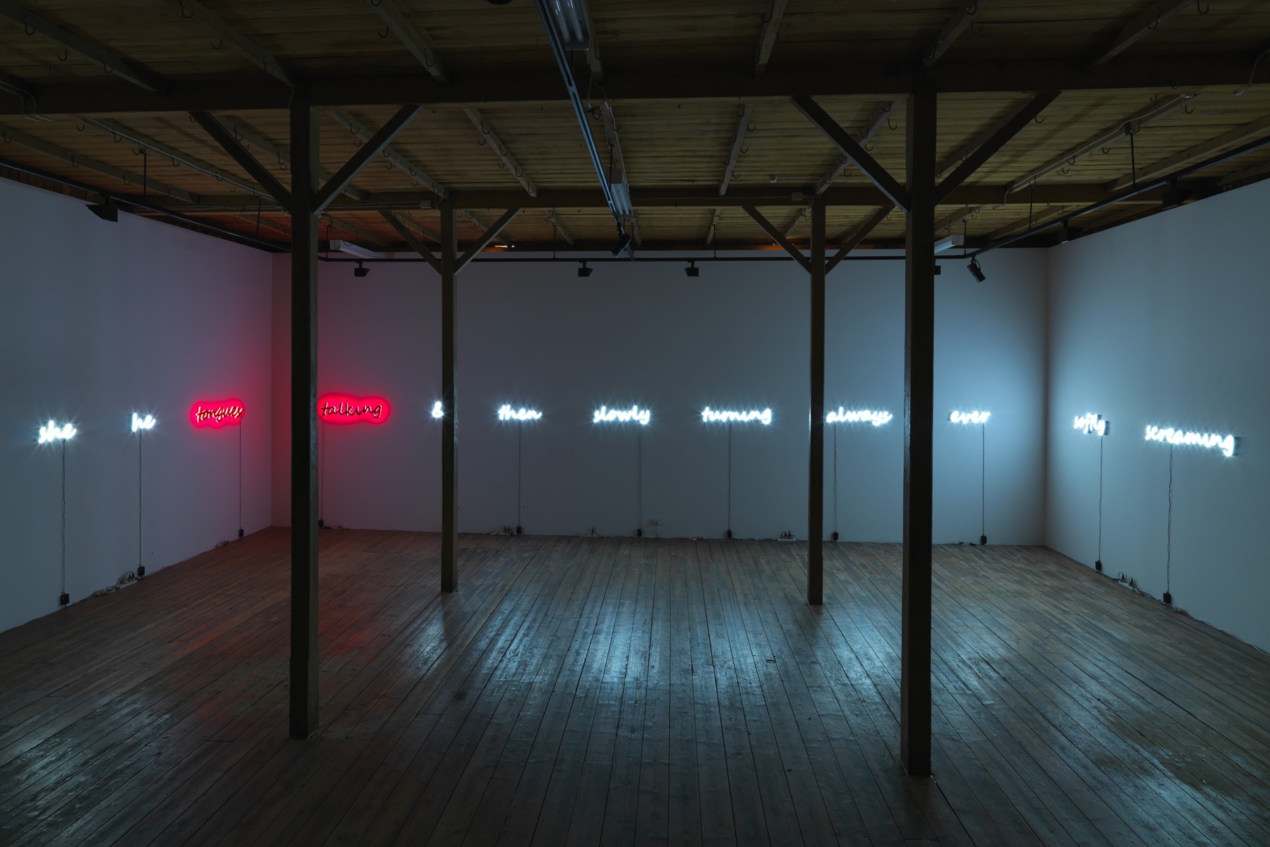  Jayne Dyer,&nbsp;Installation image 